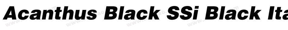 Acanthus Black SSi Black Italic字体转换